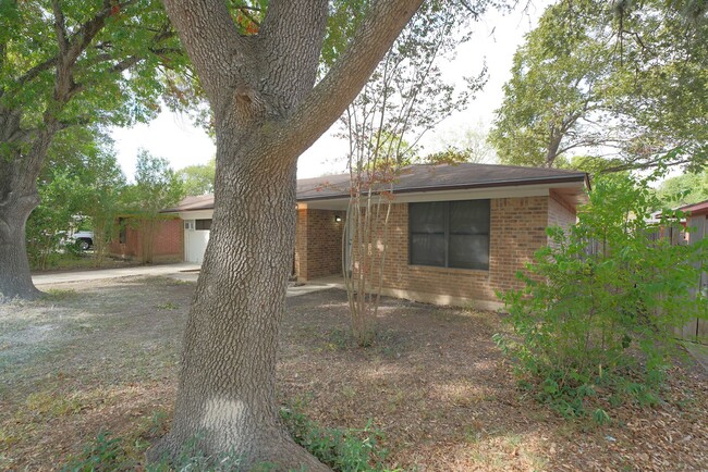 Building Photo - Lovely Home in Cibolo Now Available - Real...