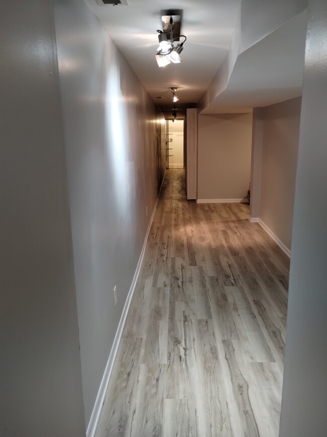 Lower level - 4233 S Prairie Ave
