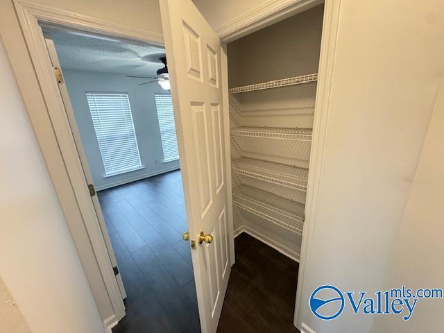 Building Photo - 202 Blue Sage Dr