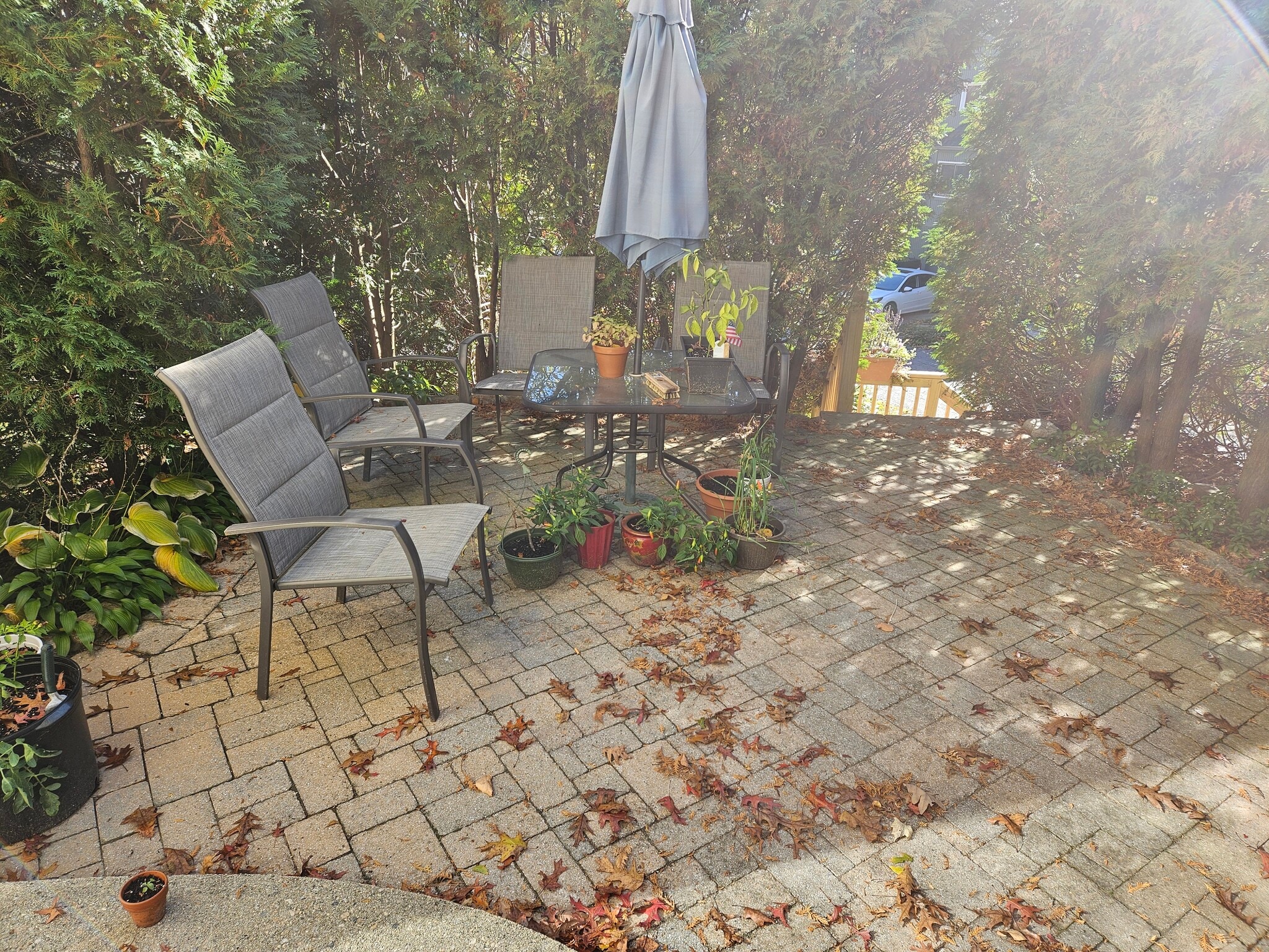 Building Photo - 9 Manor House Ln