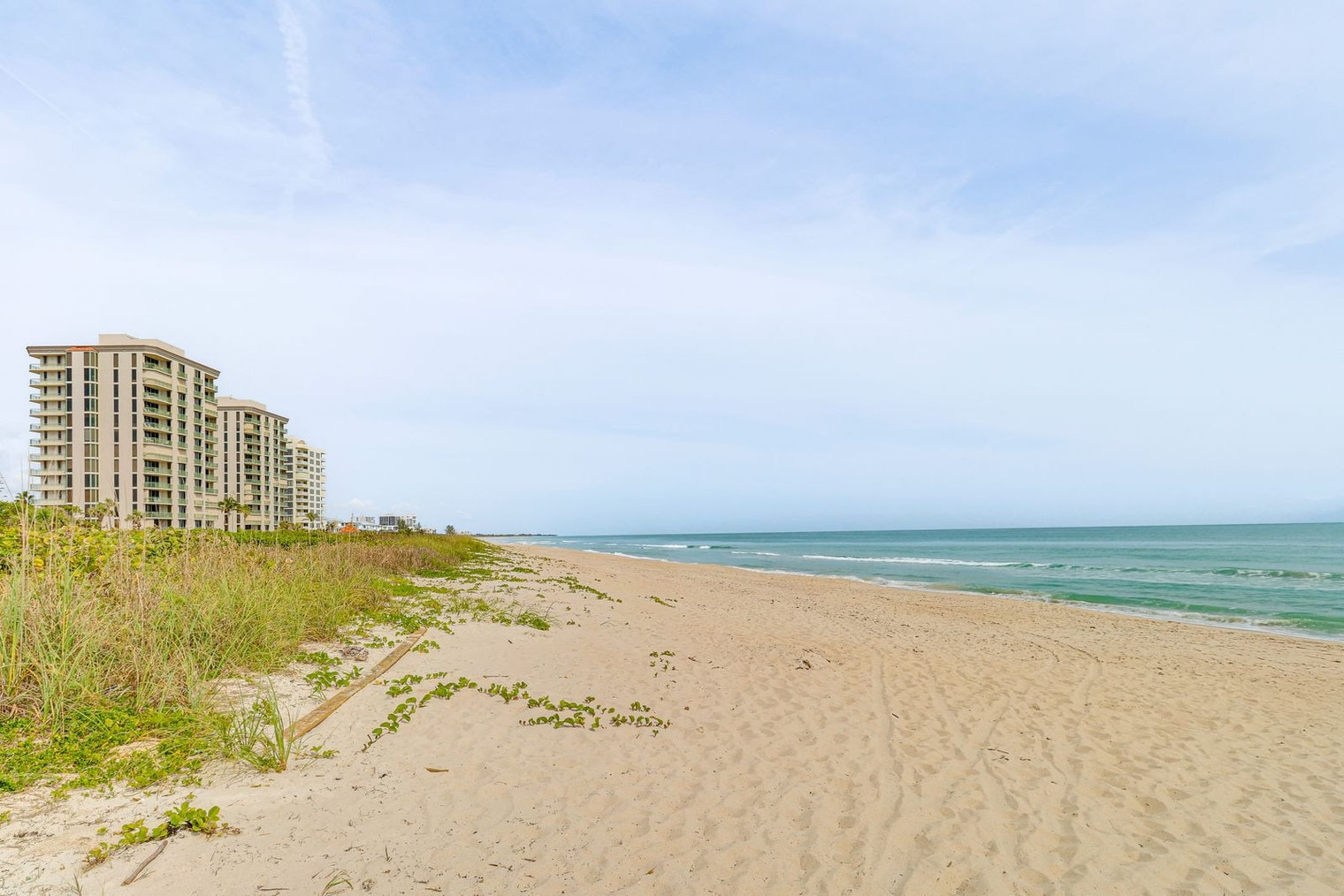 Building Photo - 4275 Jimmy Buffett Mem Hwy