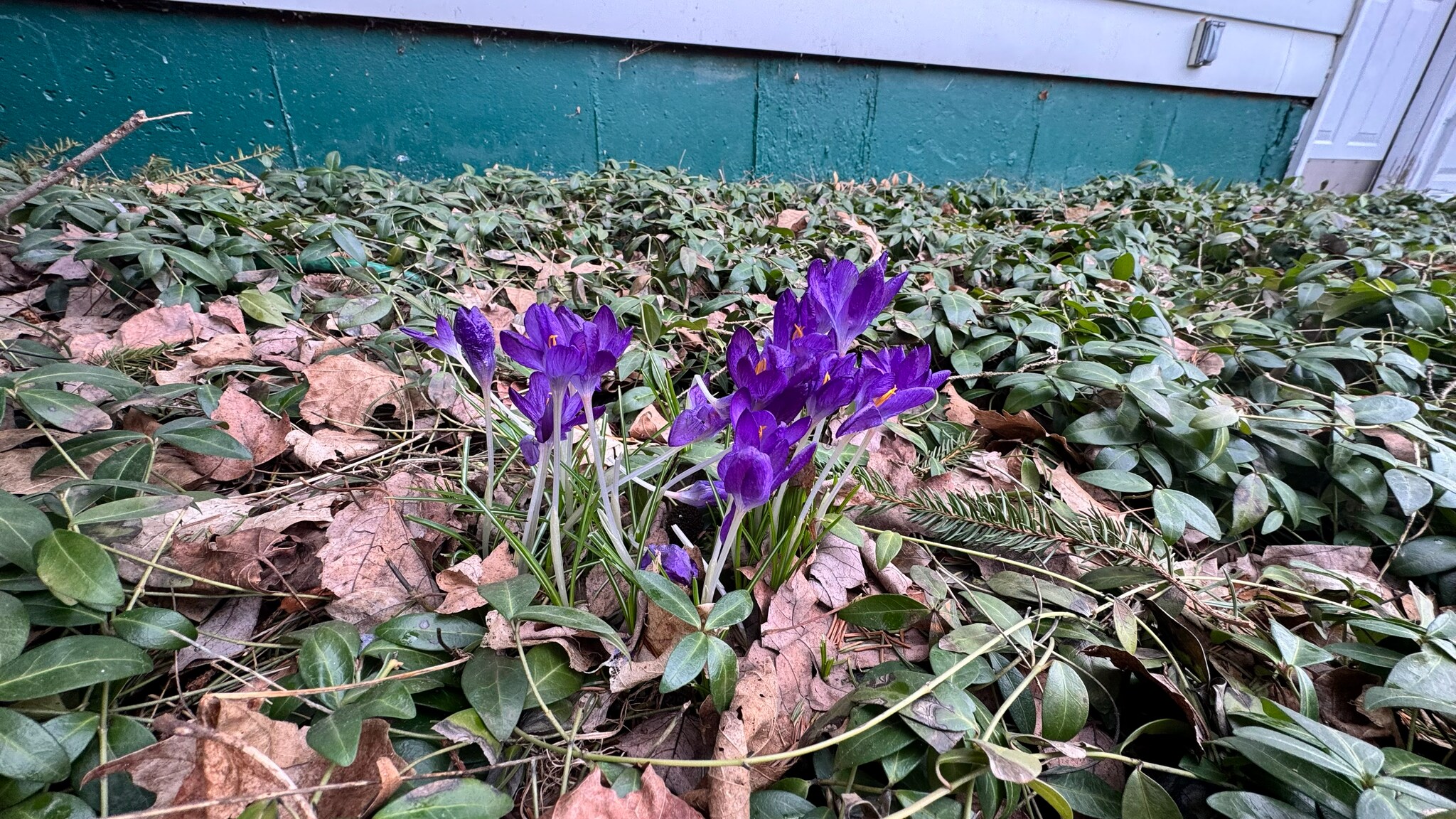 Building Photo - 31 Perimeter Rd