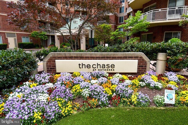 Building Photo - 7500 Woodmont Ave