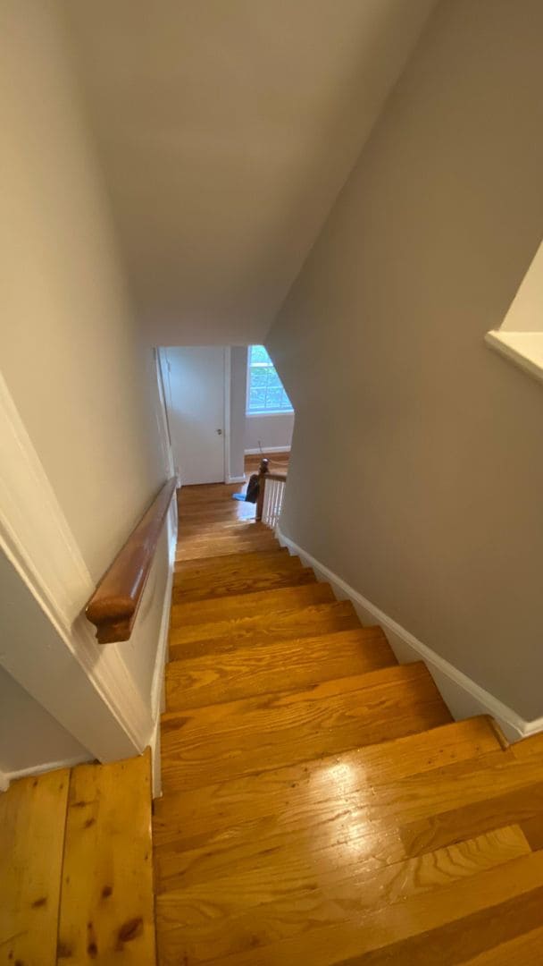 Building Photo - 3 Bedroom in Woodmoor available ASAP!!