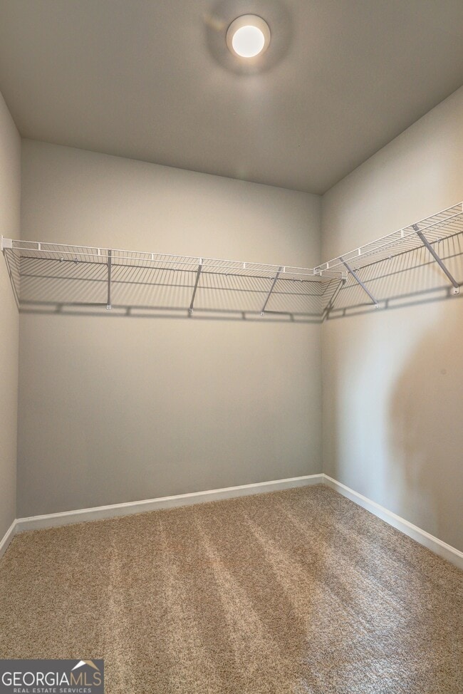 Building Photo - 479 Payne Dr