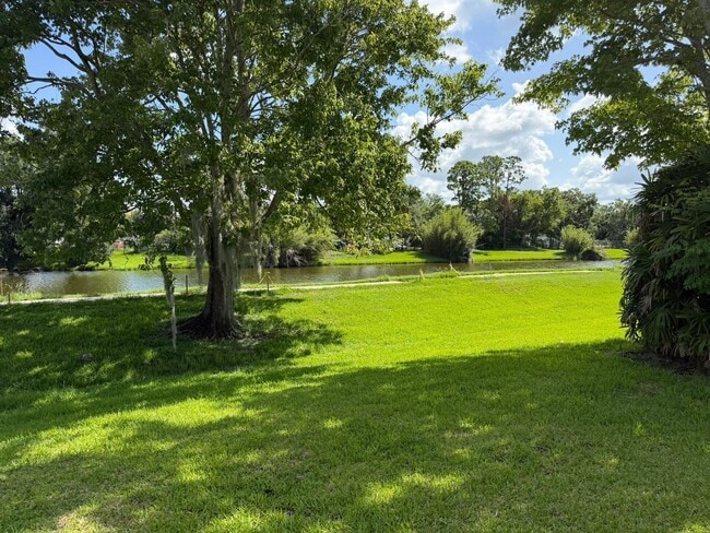 Building Photo - 2570 Shadybranch Dr