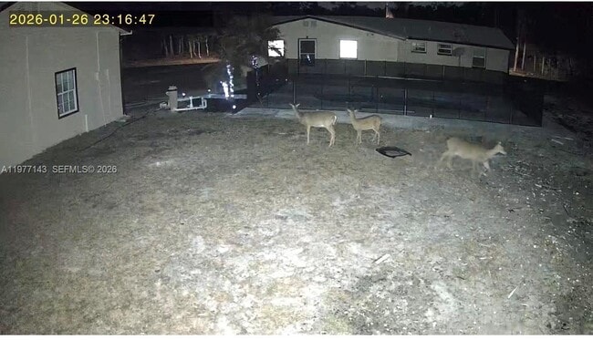 Building Photo - 3709 Grand Concourse