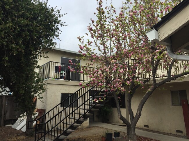 court yard - 872 Gallatin Dr