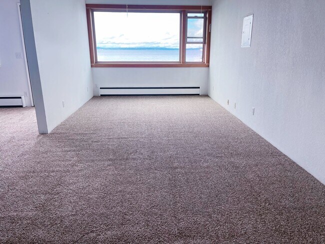 LARGE LIVING ROOM WITH NEW CARPET - 1370 Alki Ave SW