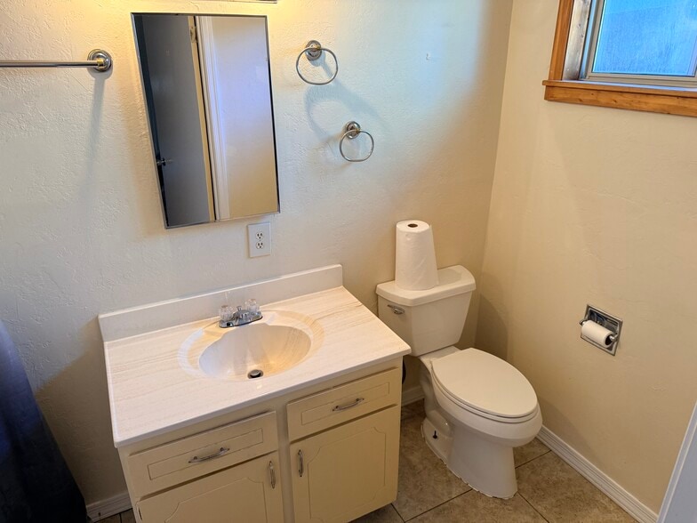 Master bathroom vsnity - 491 E Juniper Dr