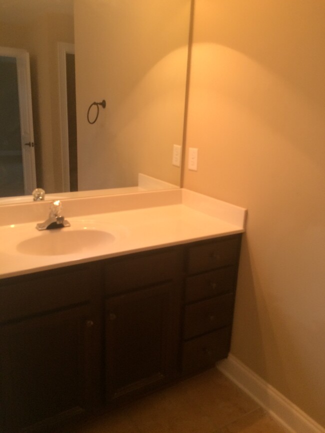 Master bath room sink area - 319 Haywood Dr