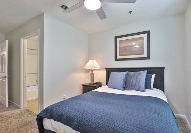 Floorplan - The Hub at Palmetto Pointe