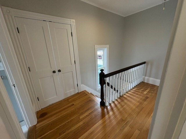 Building Photo - 19 Cohasset St