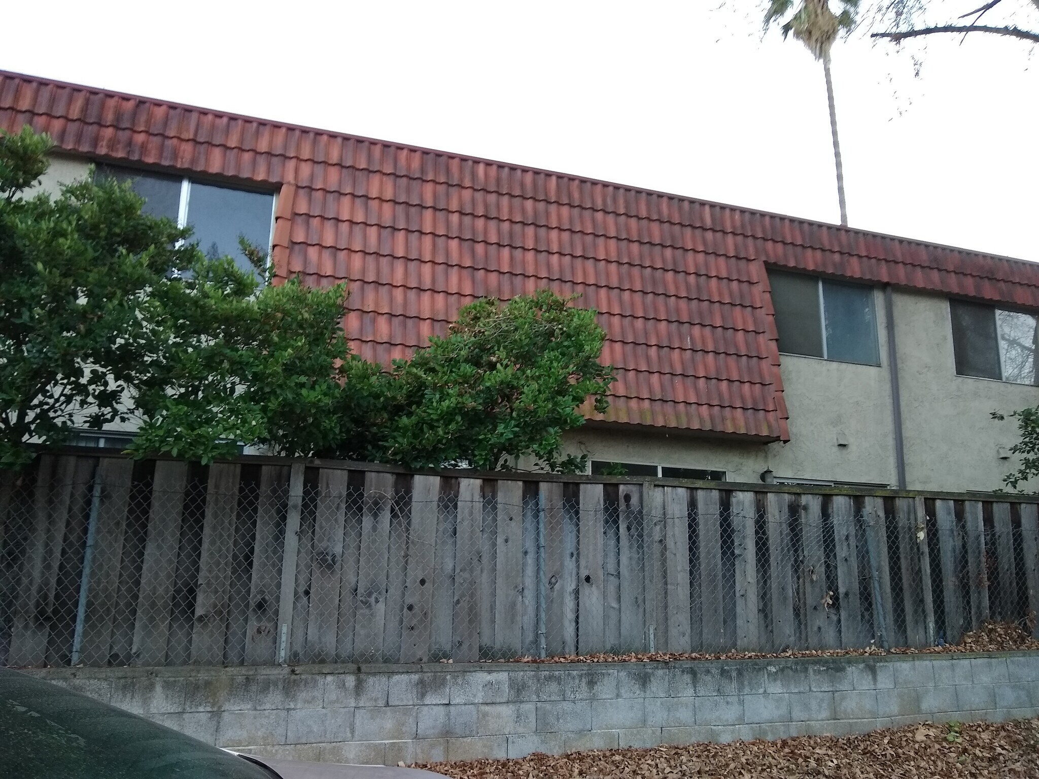 Building Photo - 825 Kiely Blvd