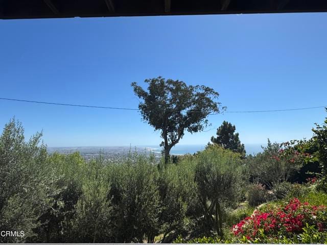 Building Photo - 546 Mint Ln