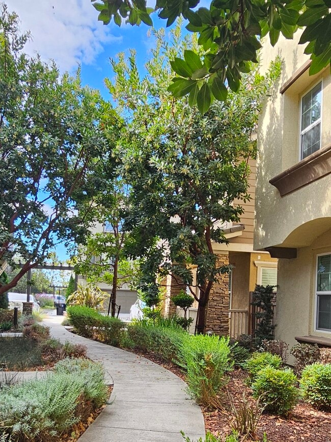 Building Photo - 3893 Fiano Cmn