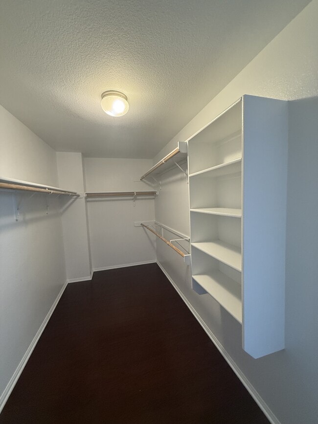 Building Photo - 502 Constellation Dr