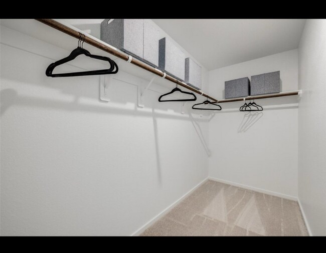 Building Photo - 26930 Zebra Grass Dr