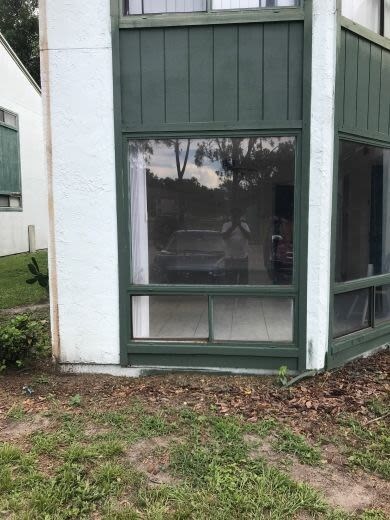 Building Photo - 2616 Lemon Tree Ln