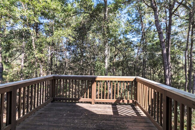 Building Photo - 22 Bimini Dr