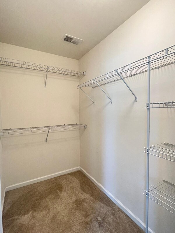 Building Photo - 1805 Rio Grande Dr