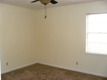 Building Photo - 803 Carmen St