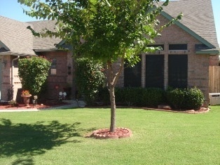 Building Photo - 1701 Del Simmons Dr