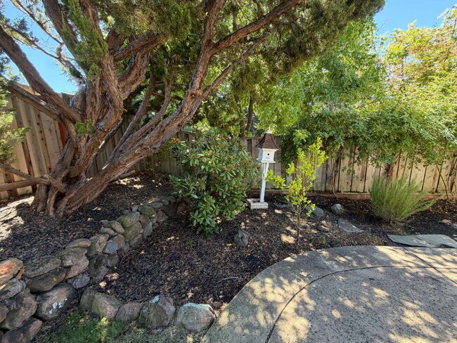 Building Photo - "Charming 4-Bed Oasis with Granite Touches with Tennis and Poolside Bliss steps away in Danville!"