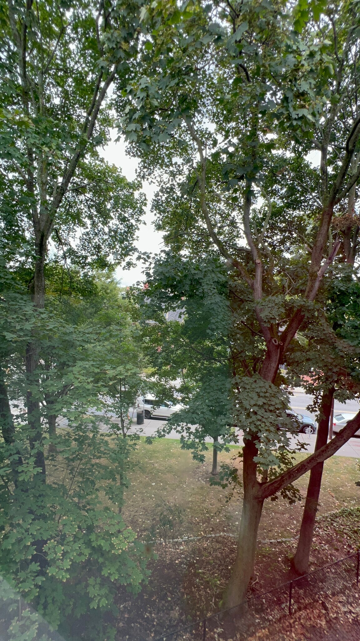 Building Photo - 1000 Memorial Dr