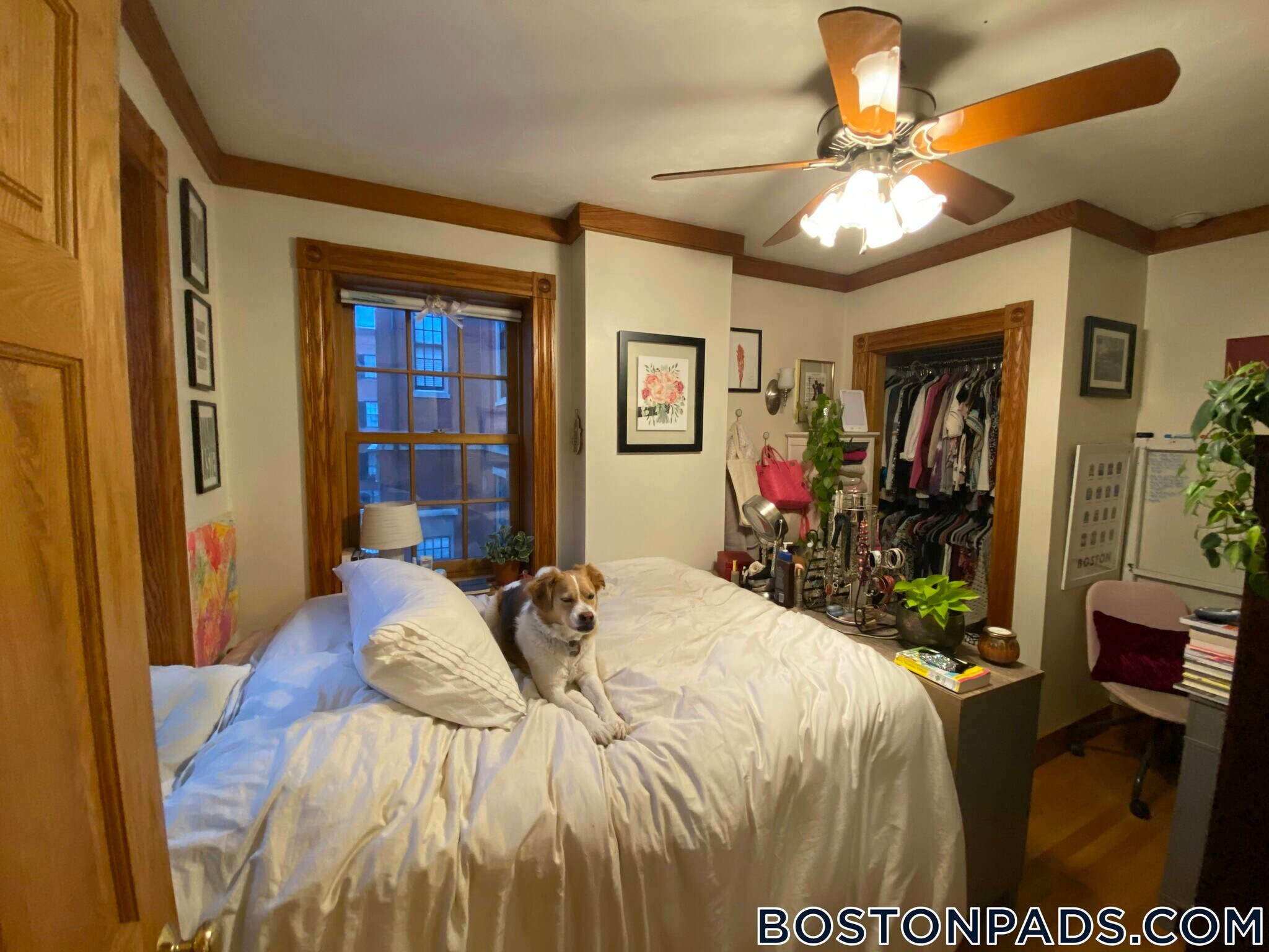 Building Photo - 61 Anderson St