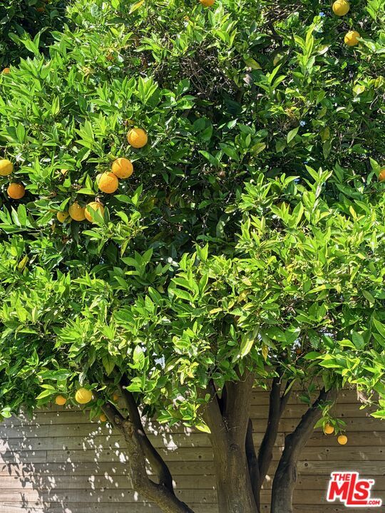 Building Photo - 8111 Westlawn Ave