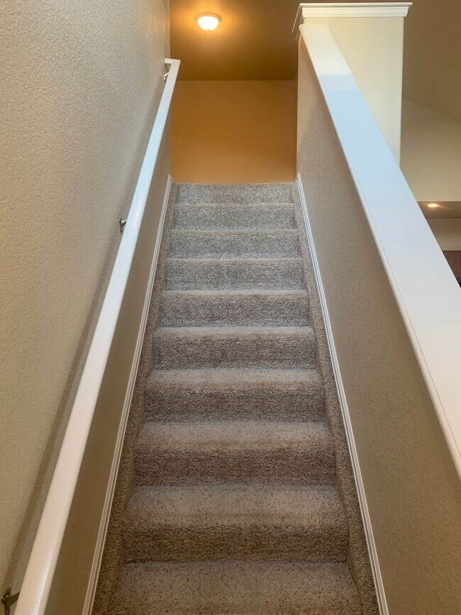 Building Photo - Gorgeous 7 Bed/3.5 Bath Home for Rent in C...