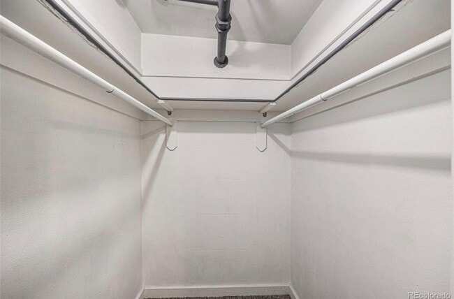 Building Photo - Great Capital Hill 1 Bedroom Garden Level Condo/ Water trash, and Heat Included