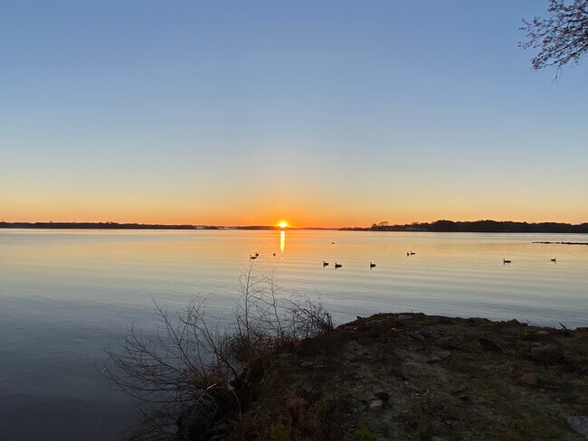 Building Photo - 217 Brendalwood Blvd