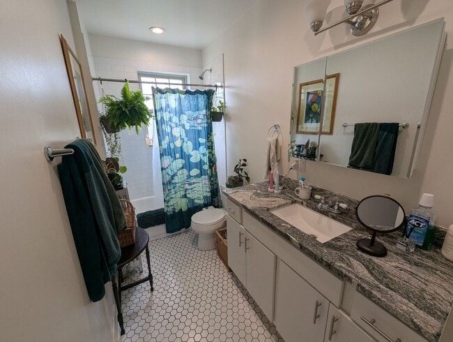 Building Photo - Newly Renovated 1 Bedroom in Rogers Park/L...
