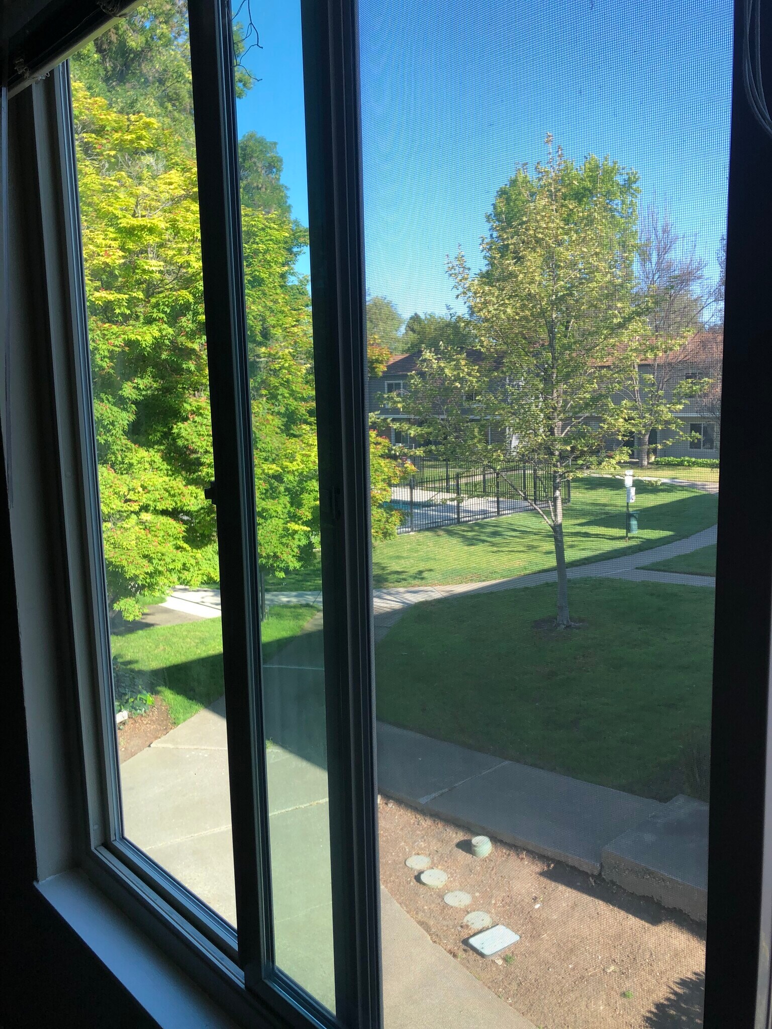 View from Master Bedroom 2nd floor - 3555 Northwood Dr