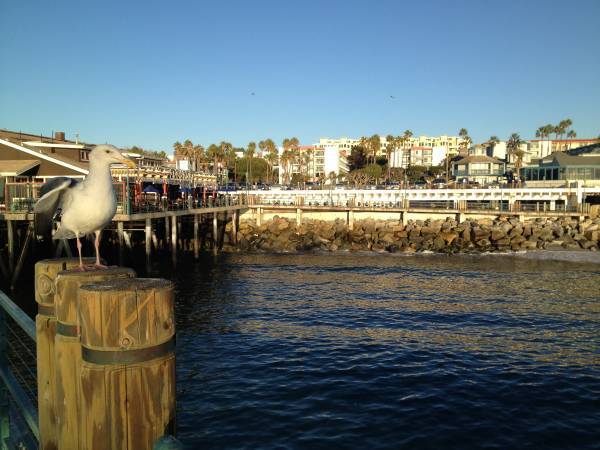 View from the sea - 665 The Village