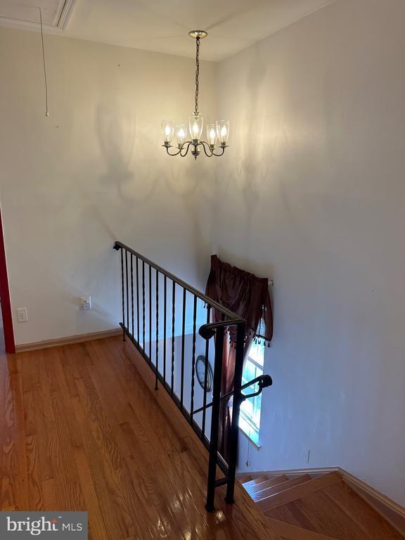 Building Photo - 4002 Summer Hollow Ct