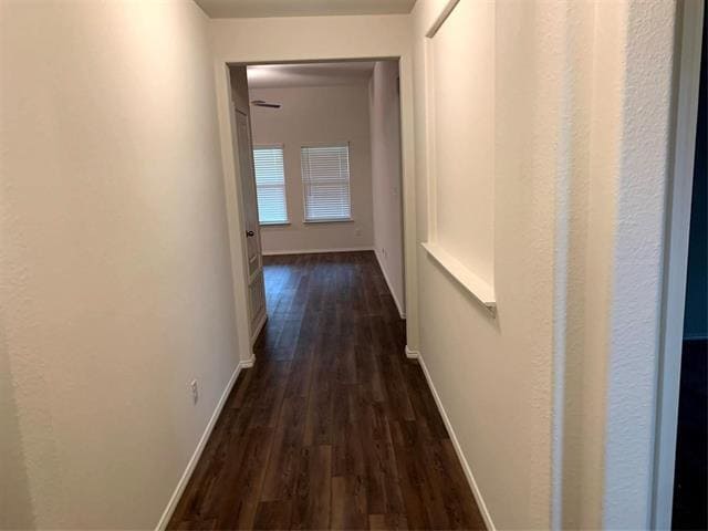 Building Photo - 2444 Larimar Dr