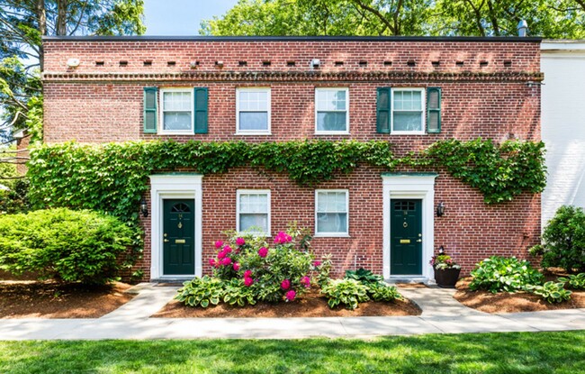 Building Photo - Luxury Brookline 1 Bed