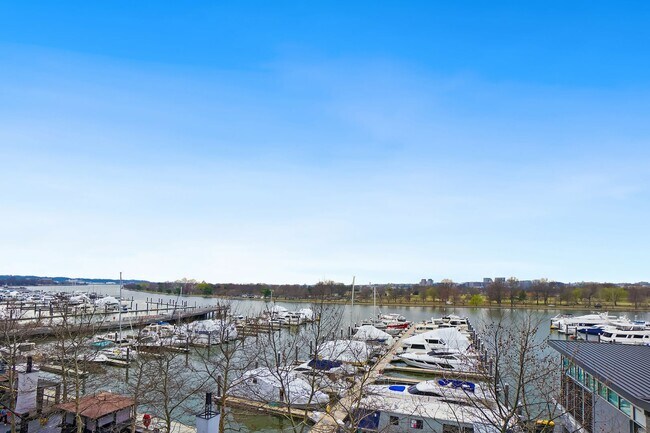 Building Photo - FURNISHED OR UNFURNISHED! One of the Most Desirable Locations On the Wharf!  1 Bed at the VIO! Av...