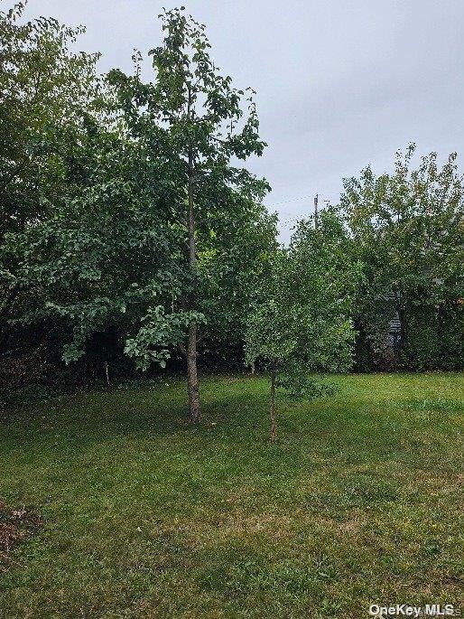 Building Photo - 806 Oliver Ave