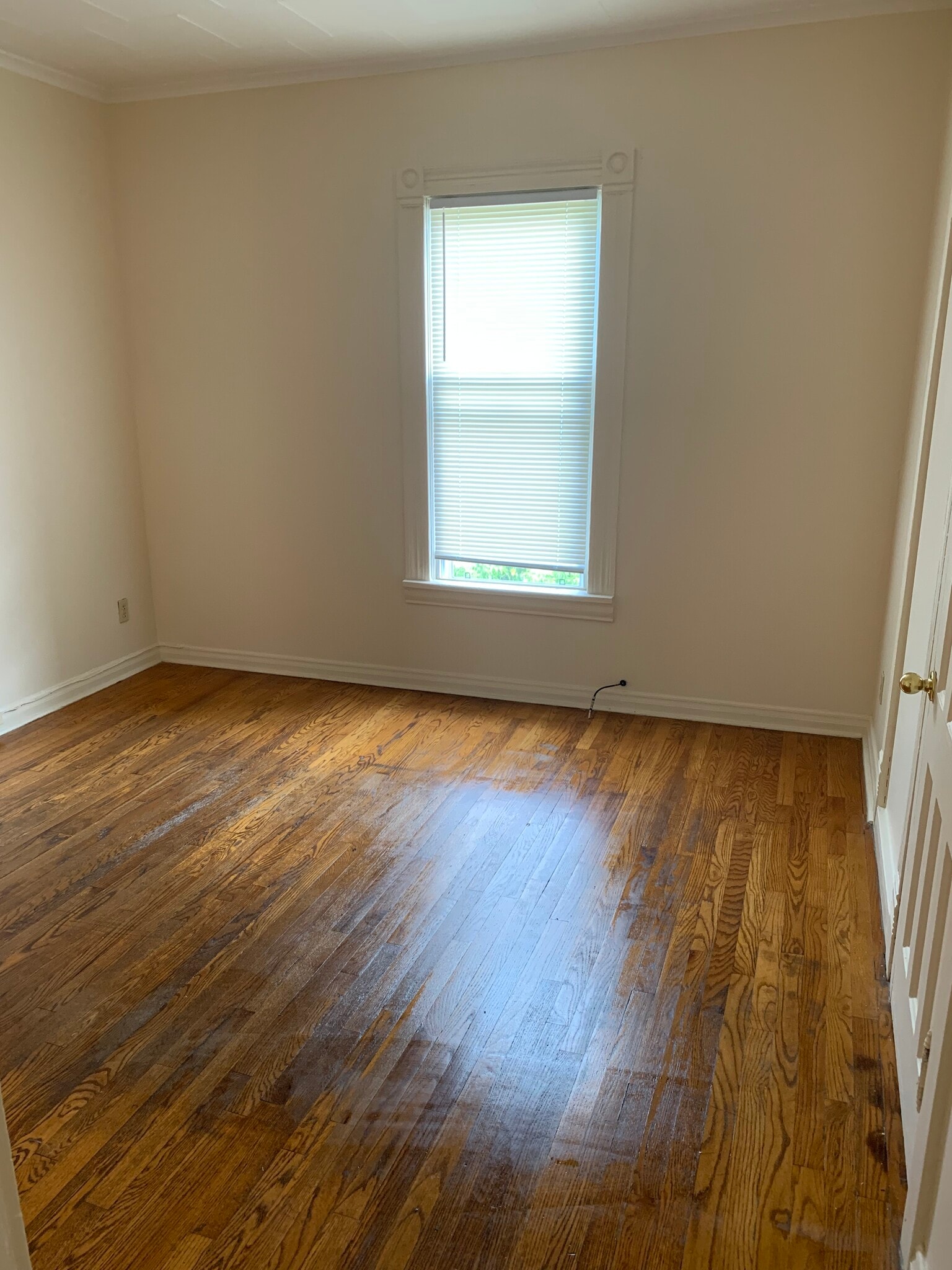 Living Room - 826 Park St