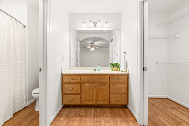 Building Photo - 2221 Mountain Mist Ct