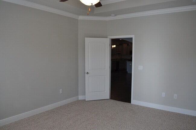 Building Photo - New 3 Bedroom in Driftwood Estates