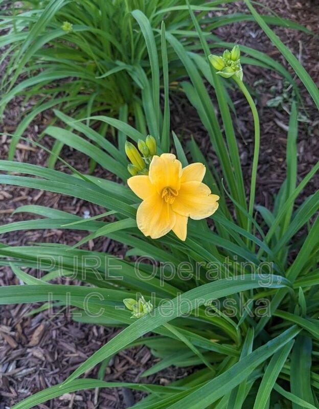 Building Photo - 8005 S 152nd St