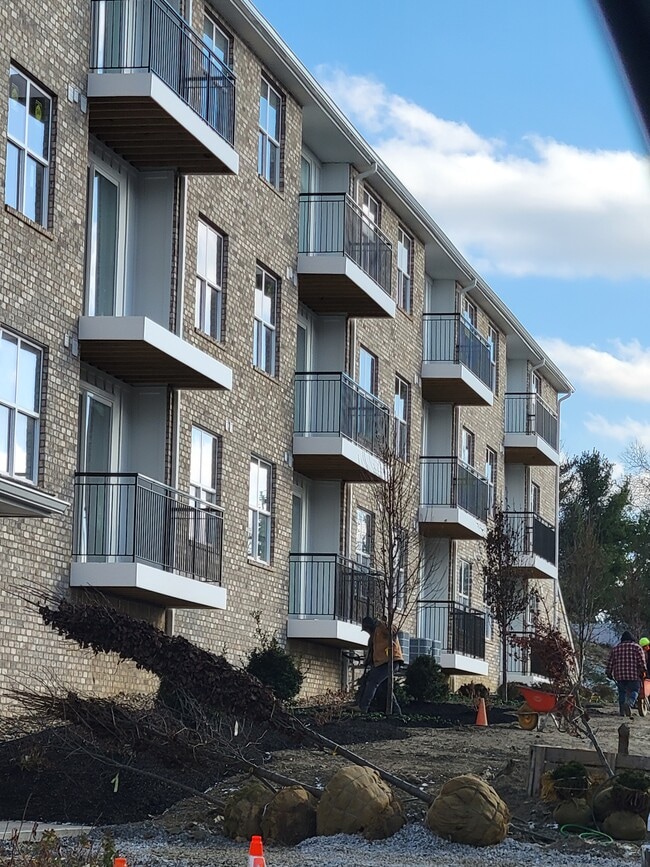 Building Photo - 8500 Thompson Run Rd