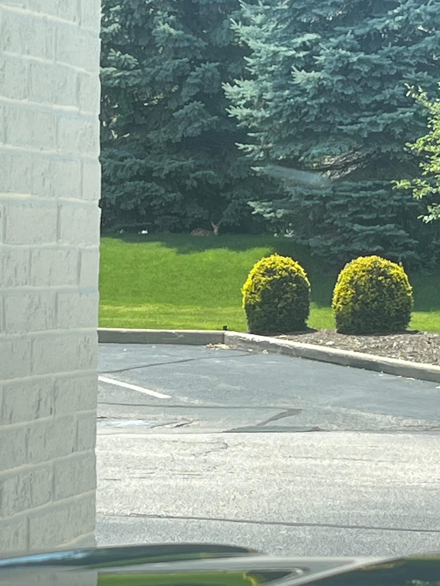 Building Photo - 5215 Cline Rd