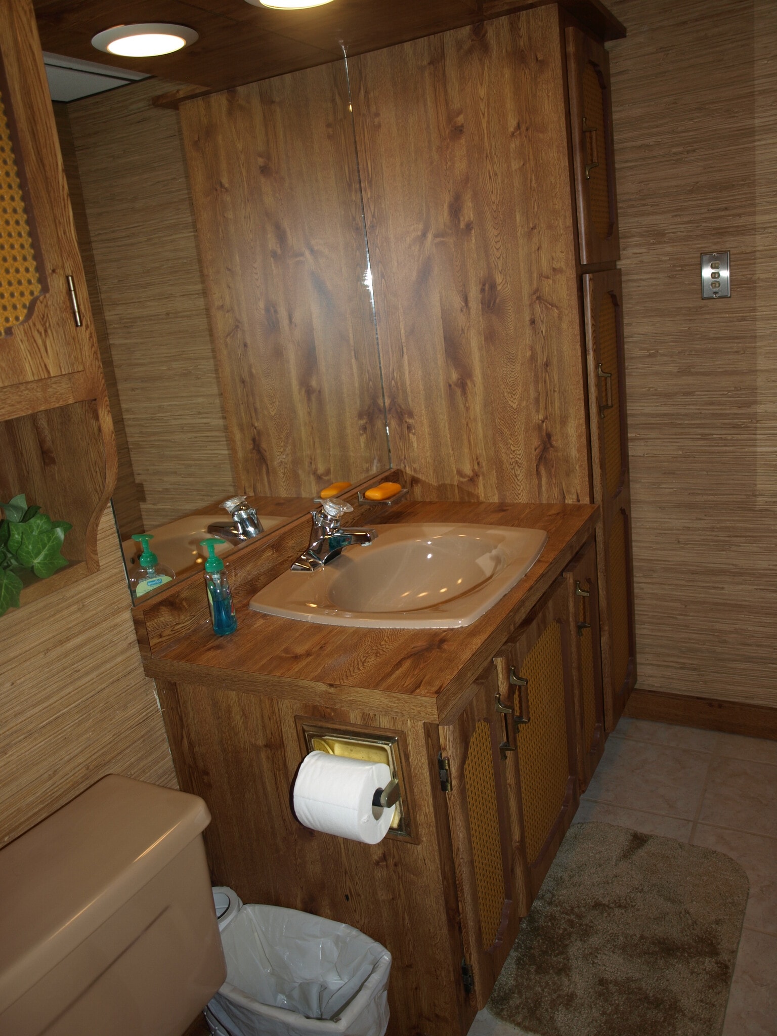 Basement bath - 275 Lincoln Hall Rd