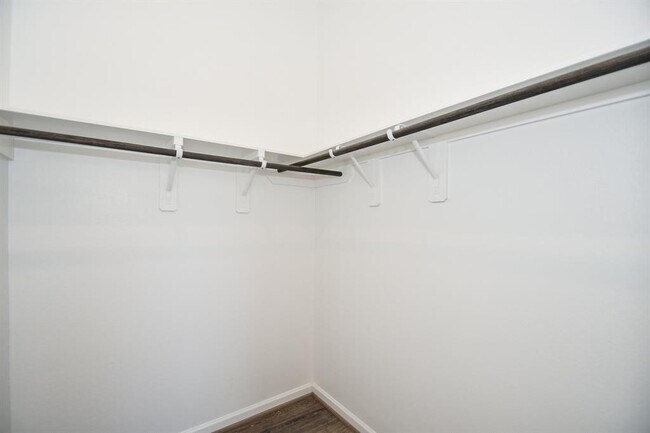 Building Photo - 10803 Spiny Caterpillar Ct